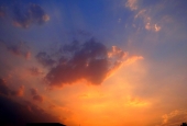 IIP Online Student Photography